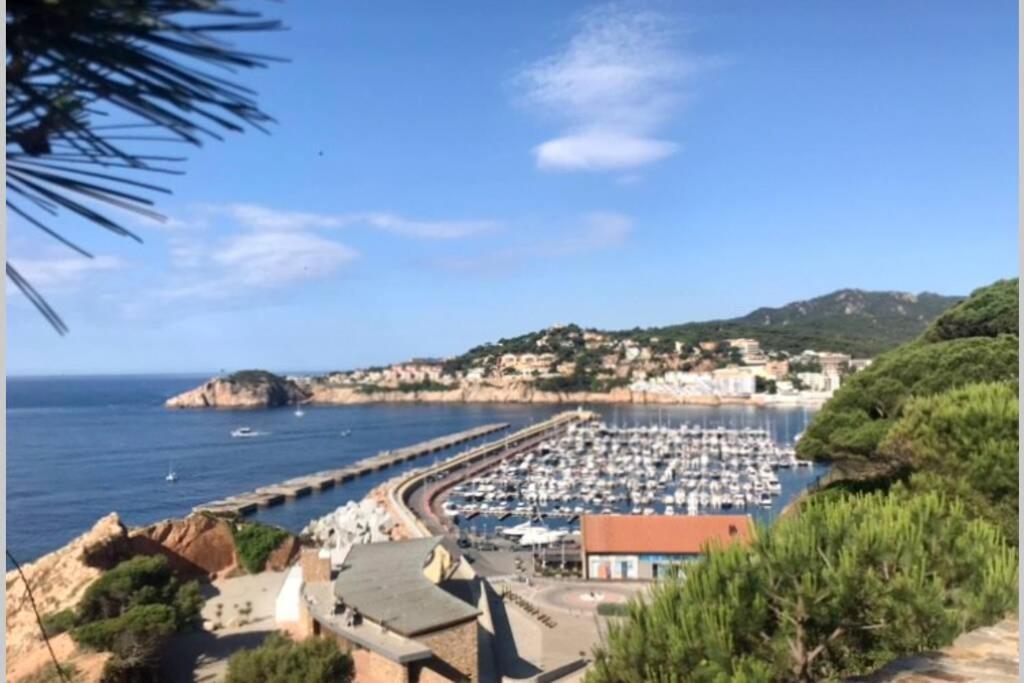 Nuevo Apartamento Moderno Elisa - A 80 Metros De La Playa Para 5 Personas Sant Feliu de Guíxols Ngoại thất bức ảnh